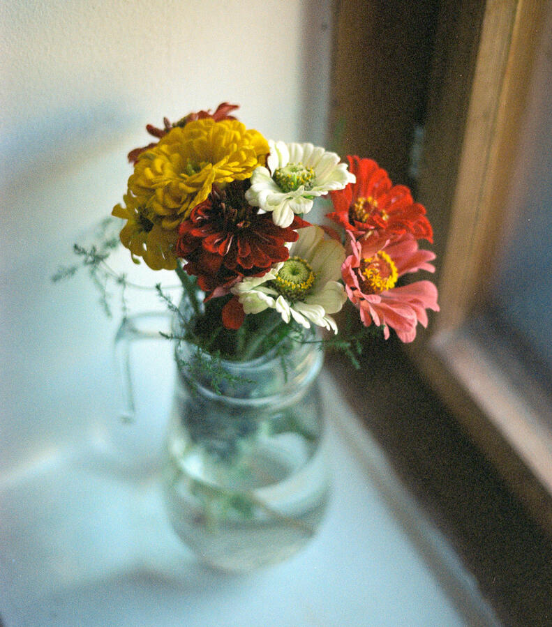 flower bouquet in an old window frame